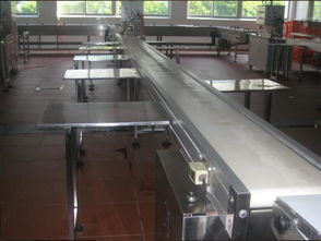 食品輸送線報價與廠家選擇指南，助力電子產(chǎn)品銷售企業(yè)優(yōu)化供應鏈